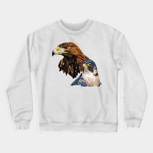 Peregrine Falcon and Crewneck Sweatshirt